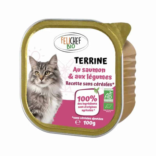 Terrine au saumon et légumes